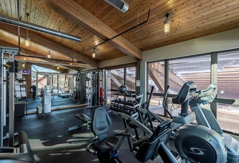 هتل 49'er Inn & Suites