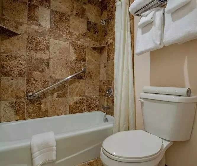 فندق 49'er Inn & Suites