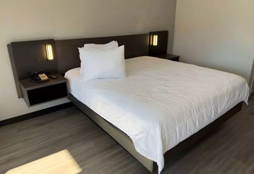 فندق Baymont By Wyndham Rock Hill