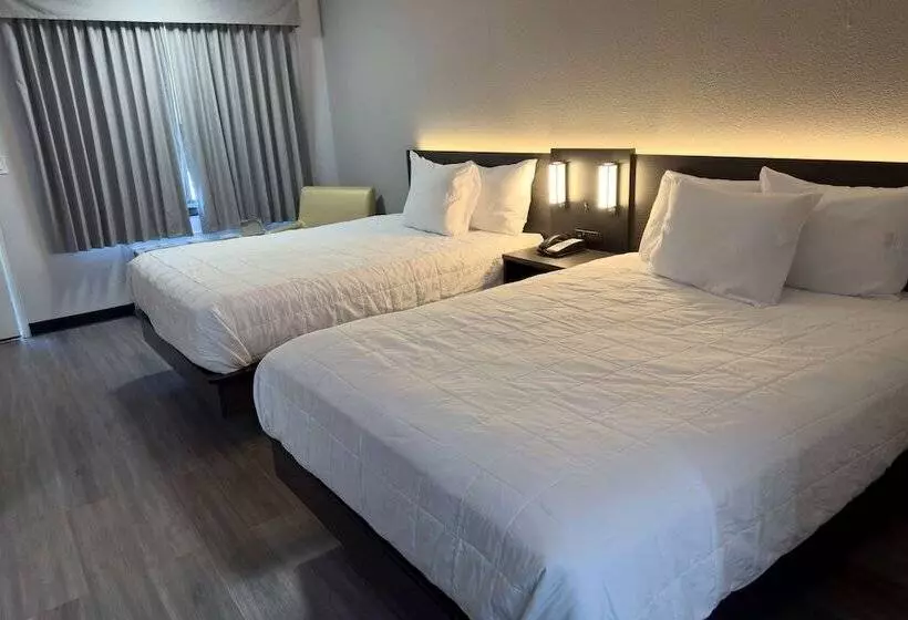 فندق Baymont By Wyndham Rock Hill