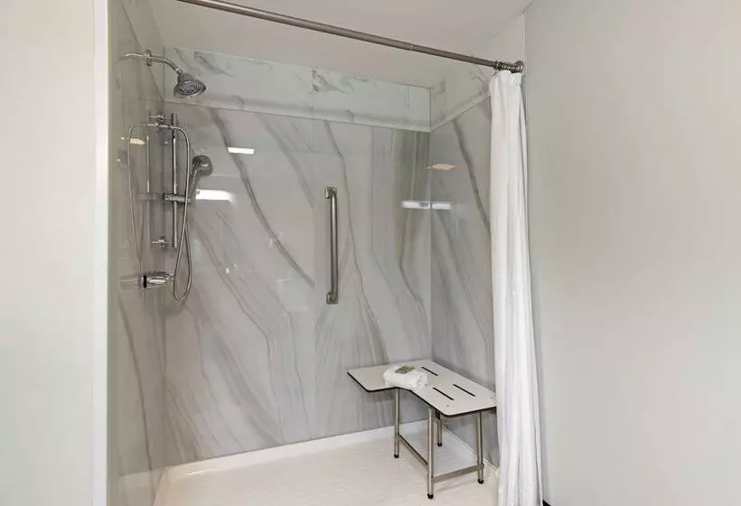 فندق Best Western Corpus Christi Airport