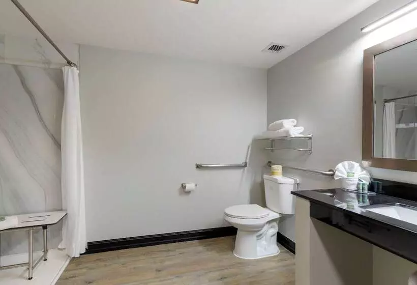 فندق Best Western Corpus Christi Airport