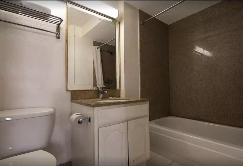 בית מלון כפרי Civic Center Inn