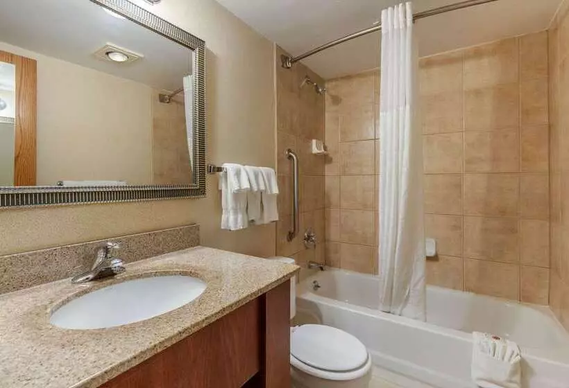 فندق Suburban Studios Arlington Heights Elk Grove