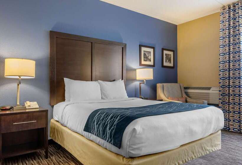 酒店 Suburban Studios Arlington Heights Elk Grove