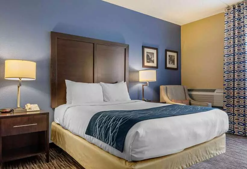 فندق Suburban Studios Arlington Heights Elk Grove