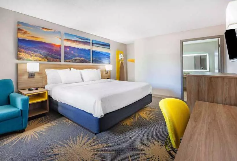 Otel Days Inn By Wyndham Roanoke Near I81