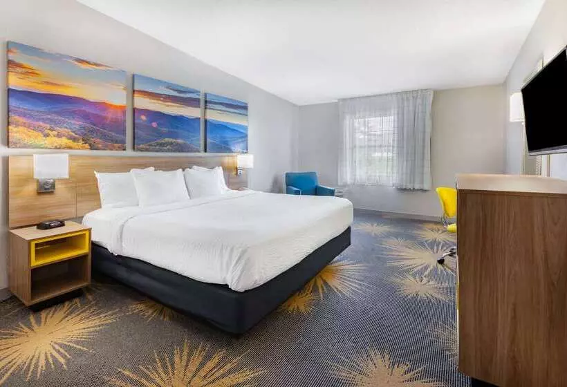 Otel Days Inn By Wyndham Roanoke Near I81