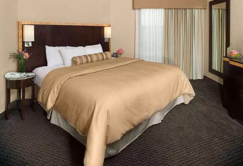 Embassy Suites Hotel Birmingham