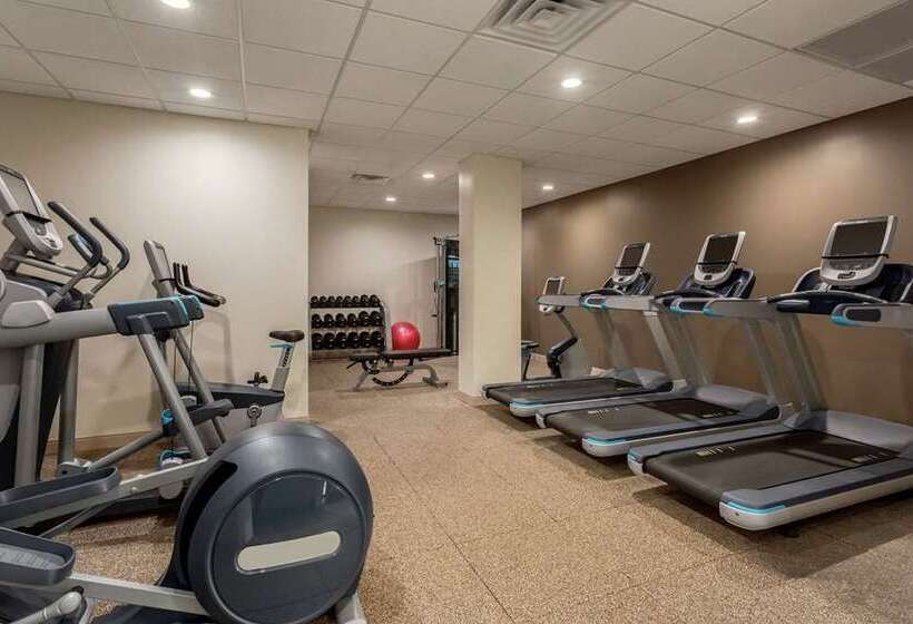 Отель Embassy Suites By Hilton Orlando International Dr Icon Park