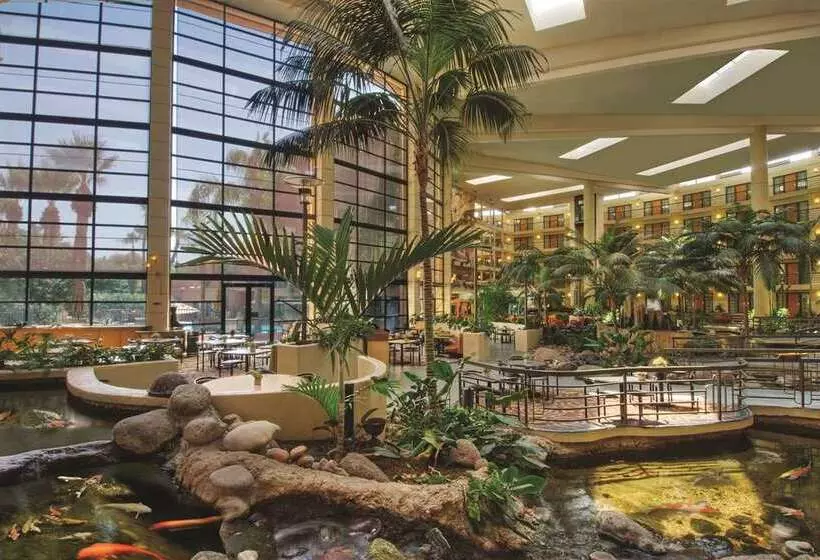 Szálloda Embassy Suites By Hilton Phoenix Biltmore