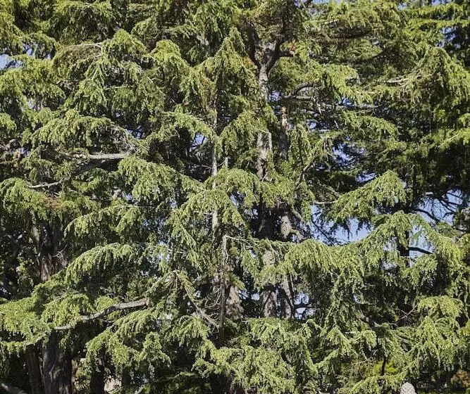 Otel Graduate By Hilton Berkeley