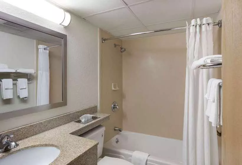 酒店 Quality Inn Central