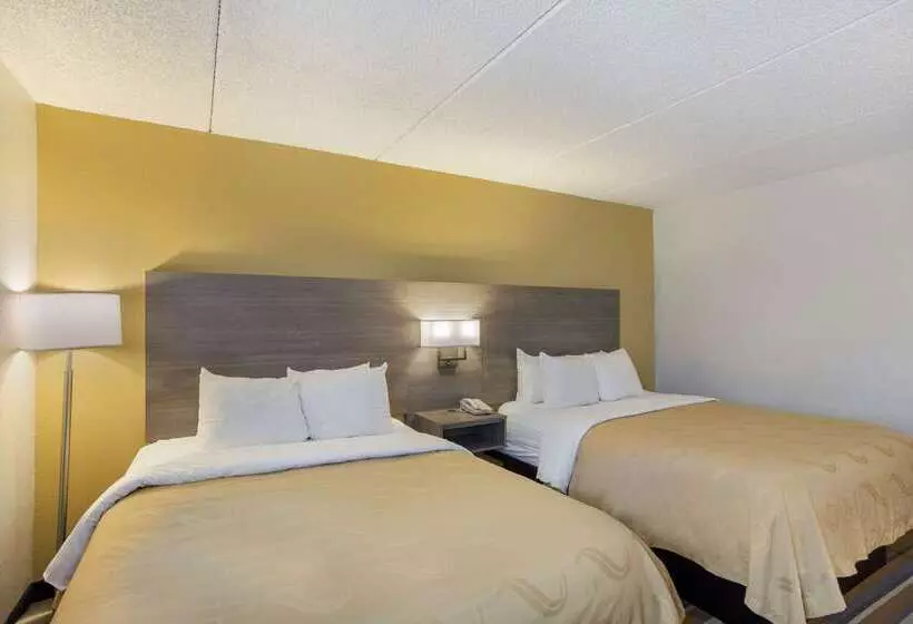 酒店 Quality Inn Central