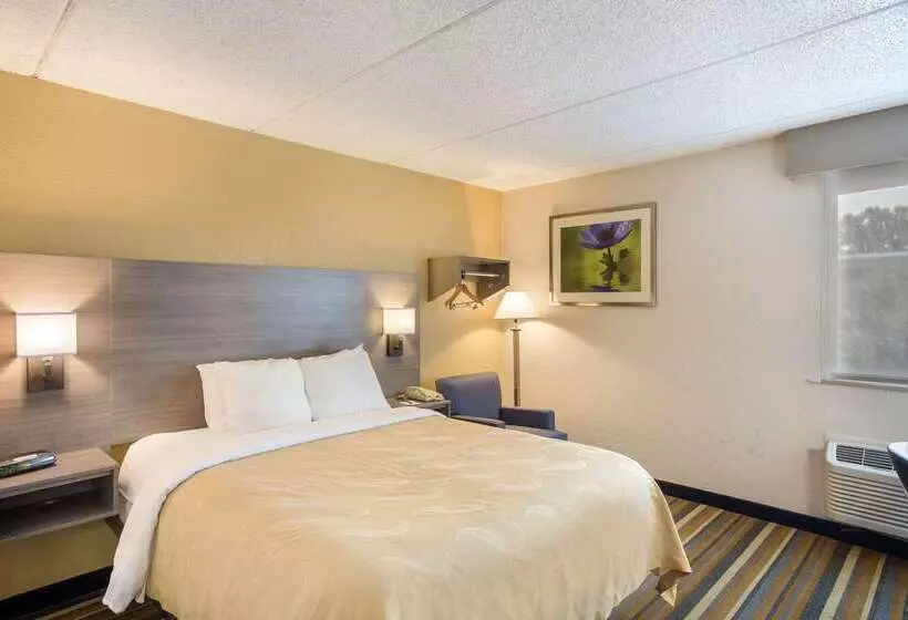 酒店 Quality Inn Central