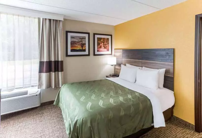 Szálloda Quality Inn & Suites