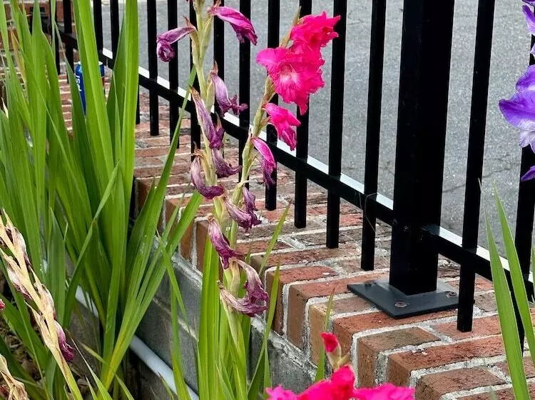 Отель Nation S Inn Of Wake County   Raleigh Crabtree