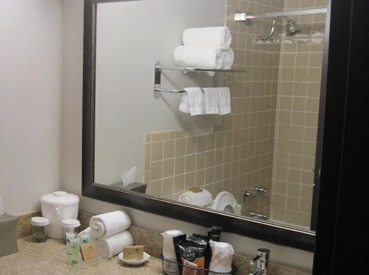 Best Western Plus Kingston Hotel And Conference Center