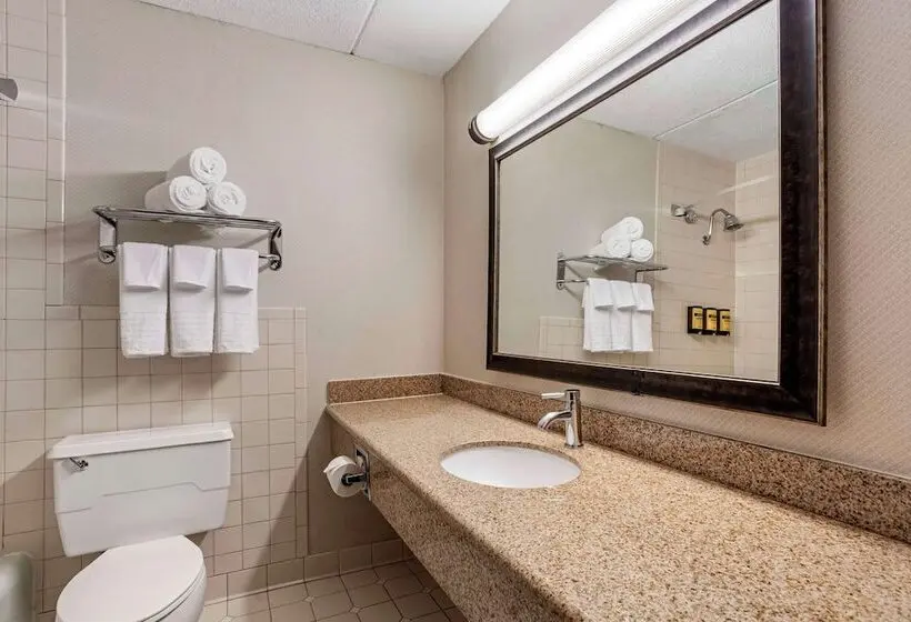 Best Western Plus Kingston Hotel And Conference Center