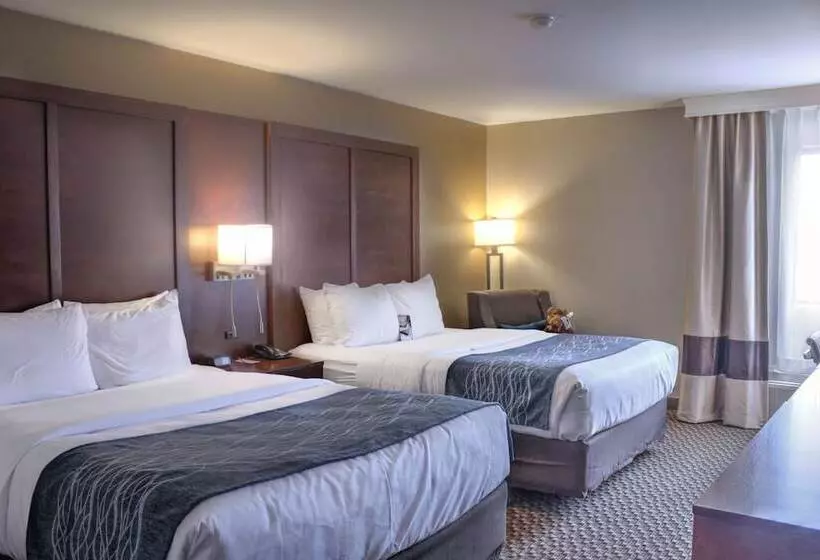 Comfort Inn At Buffalo Bill Village Resort