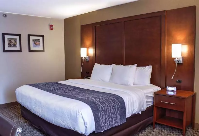 Comfort Inn At Buffalo Bill Village Resort