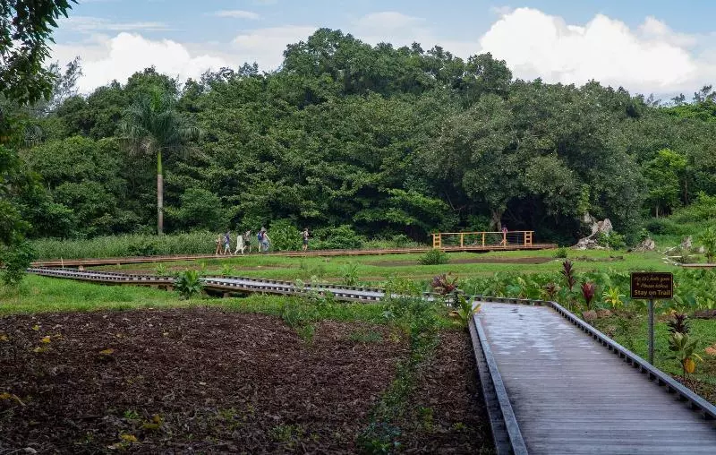 Hanalei Colony Resort