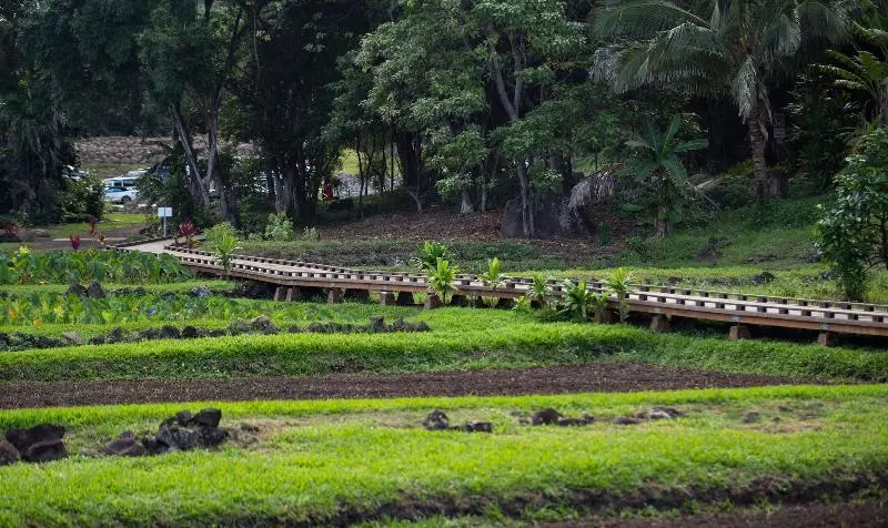 Hanalei Colony Resort
