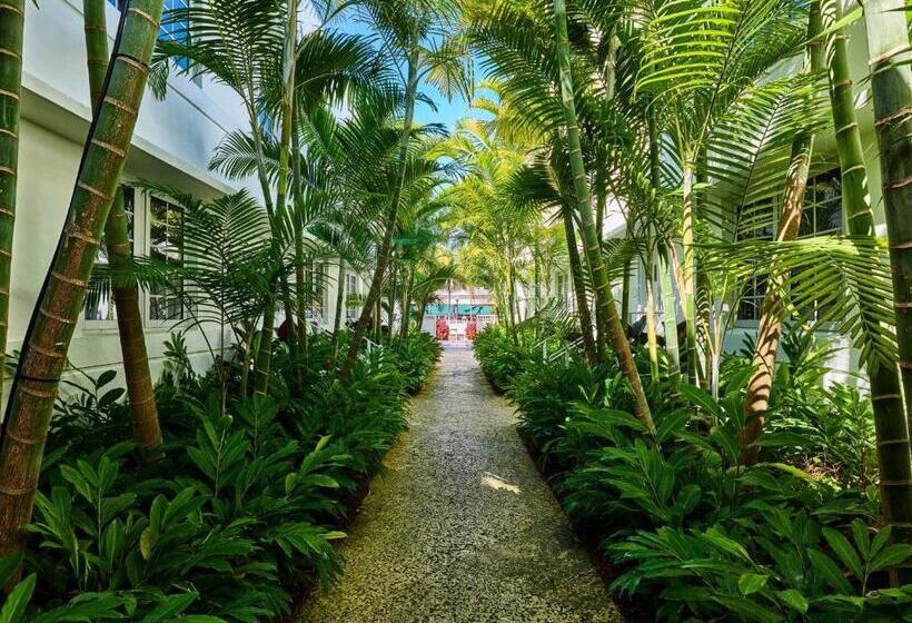 هتل AxelBeach Miami South Beach - Adults Only