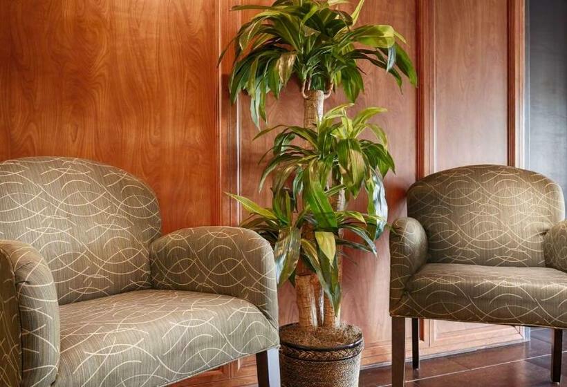 Otel Best Western Plus Mesa