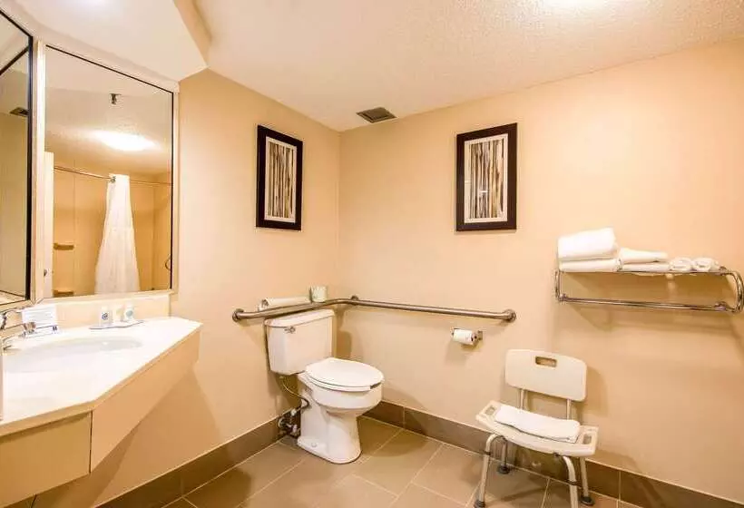 酒店 Comfort Inn Greenville  Haywood Mall