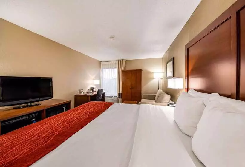 酒店 Comfort Inn Greenville  Haywood Mall