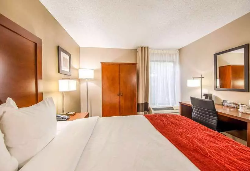酒店 Comfort Inn Greenville  Haywood Mall