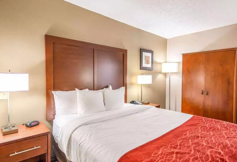 酒店 Comfort Inn Greenville  Haywood Mall