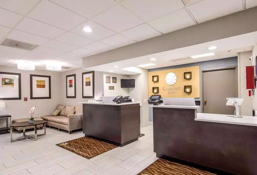 酒店 Comfort Inn Greenville  Haywood Mall