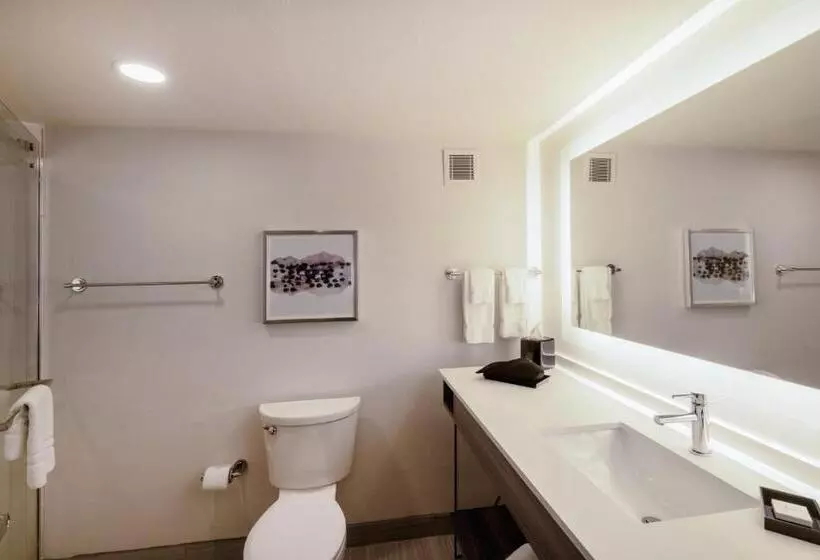 فندق Crowne Plaza Atlanta Ne   Norcross