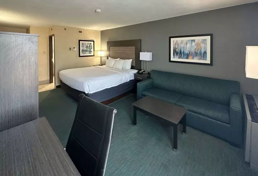Отель Comfort Inn Dallas North Love Field Airport