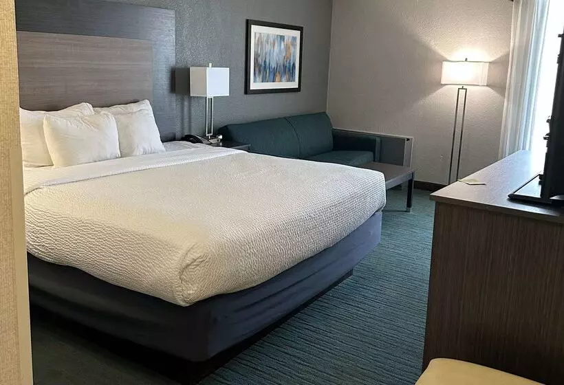 Отель Comfort Inn Dallas North Love Field Airport