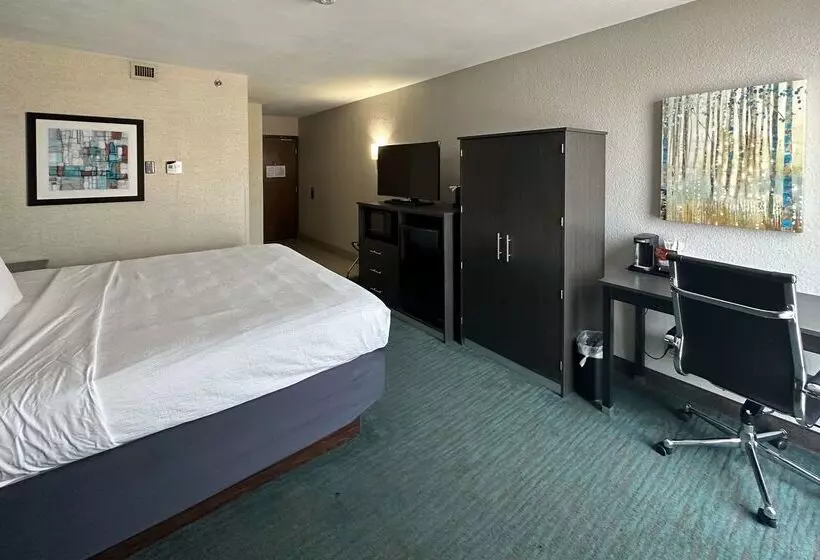 Отель Comfort Inn Dallas North Love Field Airport