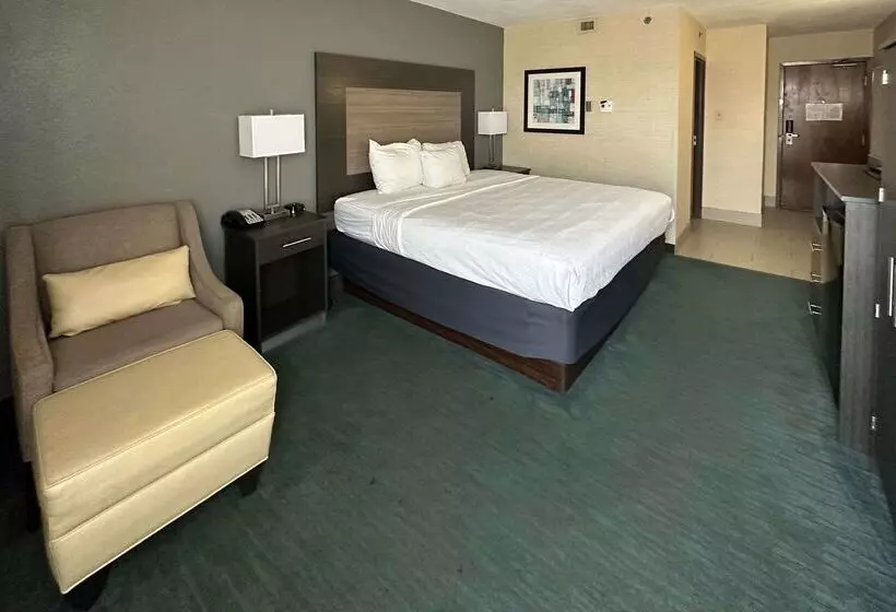 Отель Comfort Inn Dallas North Love Field Airport