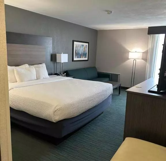 Отель Comfort Inn Dallas North Love Field Airport