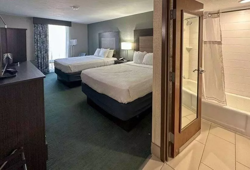 Отель Comfort Inn Dallas North Love Field Airport