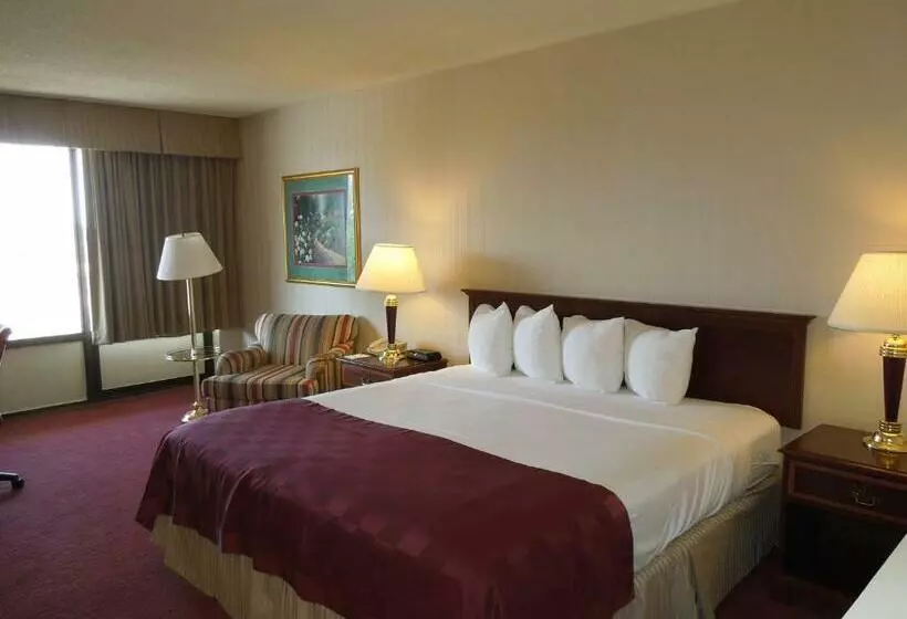 Отель Lorain Studio Suites