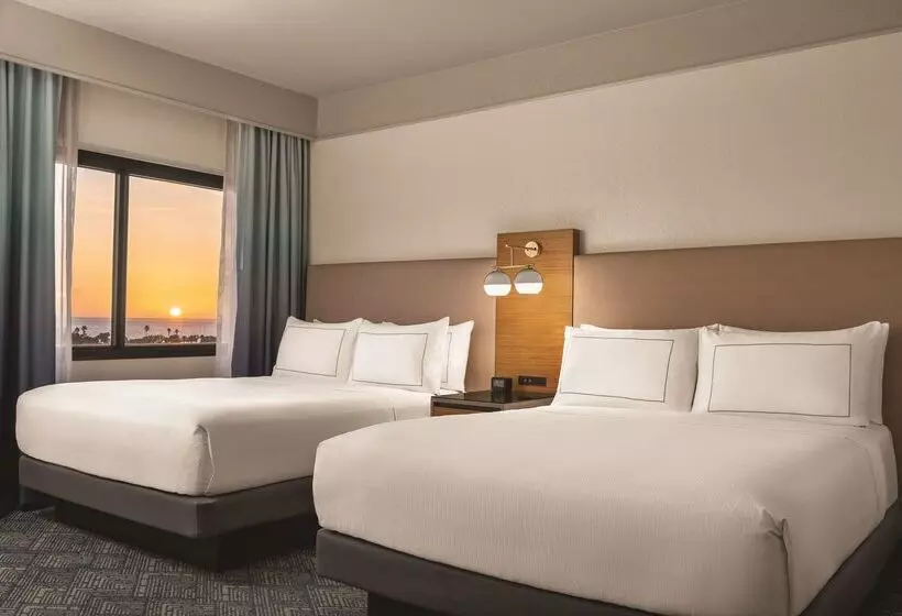 هتل Doubletree By Hilton Tampa Rocky Point Waterfront