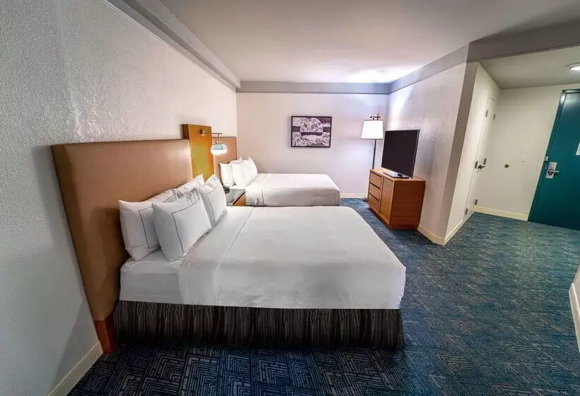 هتل Doubletree By Hilton Tampa Rocky Point Waterfront