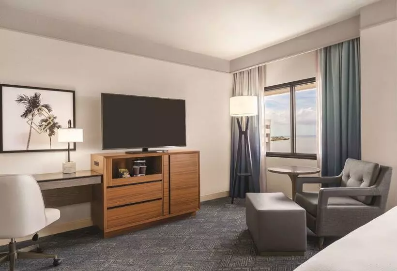 هتل Doubletree By Hilton Tampa Rocky Point Waterfront