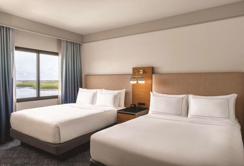 ホテル Doubletree By Hilton Tampa Rocky Point Waterfront