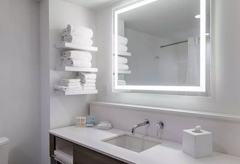 ホテル Hampton Inn Knoxvillewest At Cedar Bluff