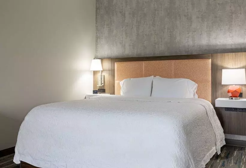 ホテル Hampton Inn Knoxvillewest At Cedar Bluff