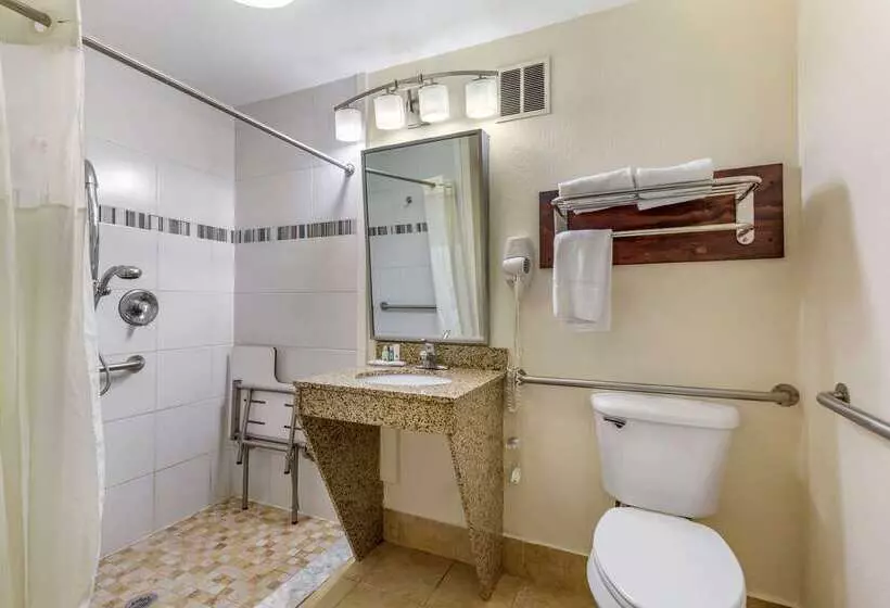ホテル Quality Inn Windsor Mill   Baltimore