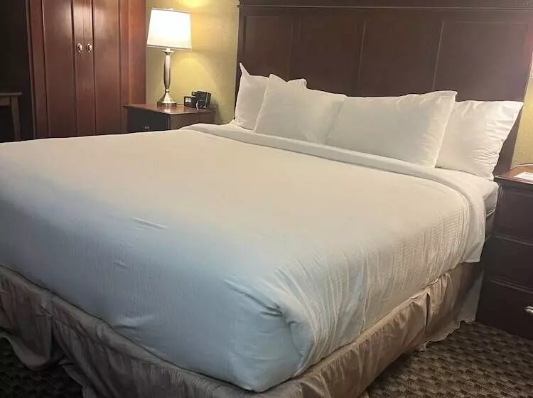 ホテル Spark By Hilton Colorado Springs I 25 Central